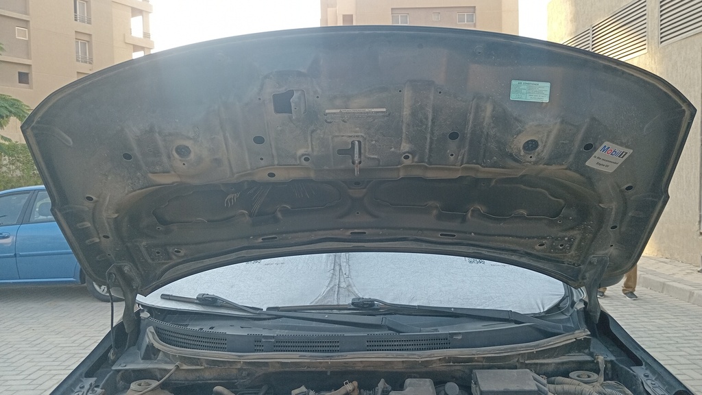 CAR HOOD