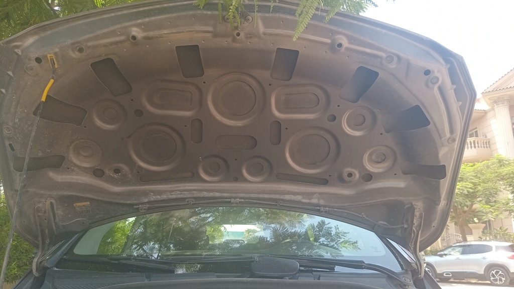 CAR HOOD