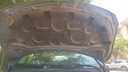 CAR HOOD