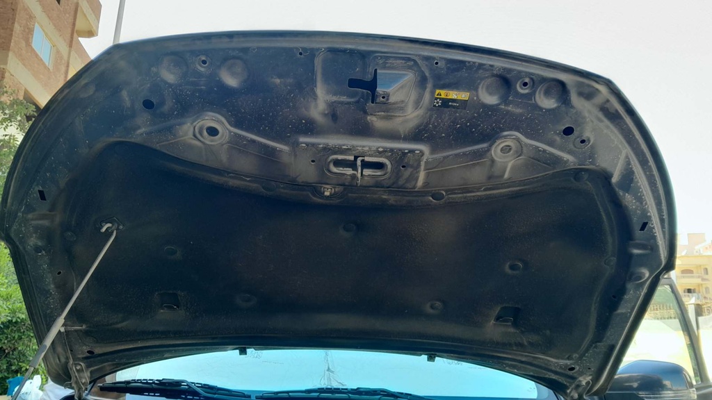 CAR HOOD