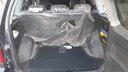 TRUNK