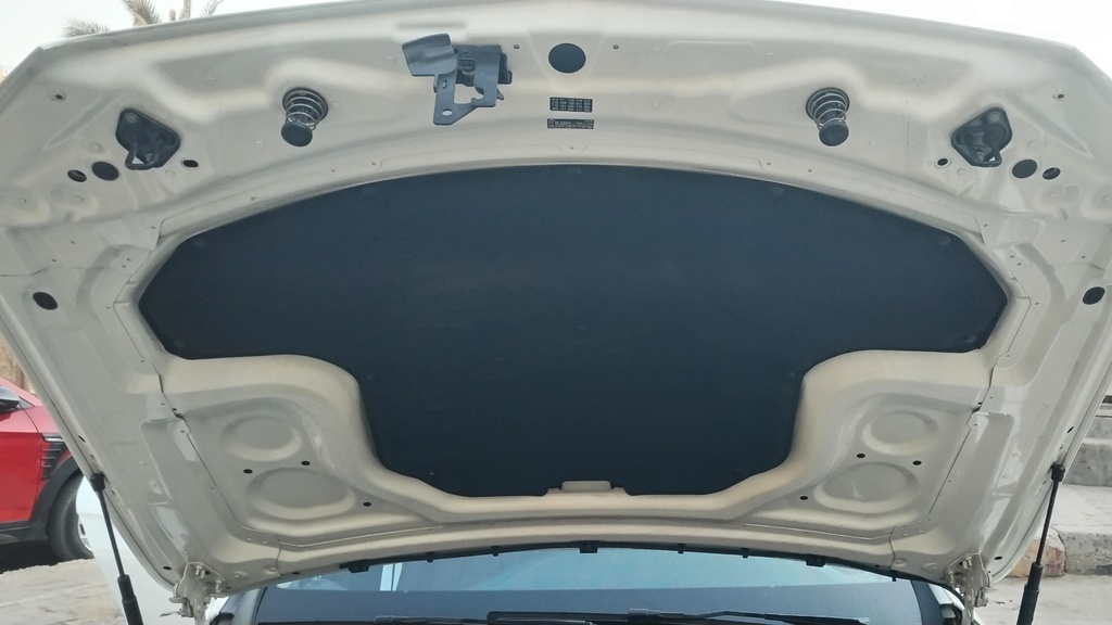 CAR HOOD