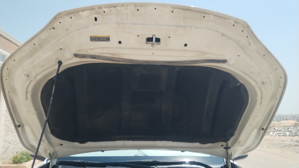 CAR HOOD