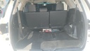 TRUNK