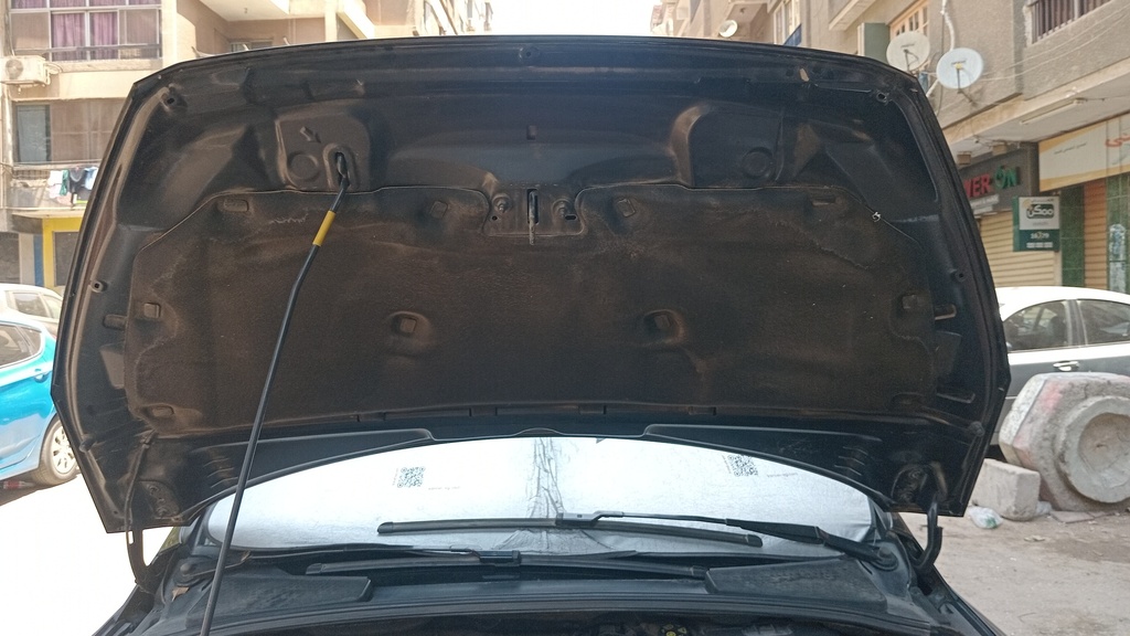 CAR HOOD