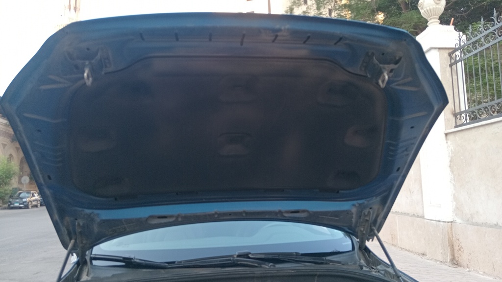 CAR HOOD