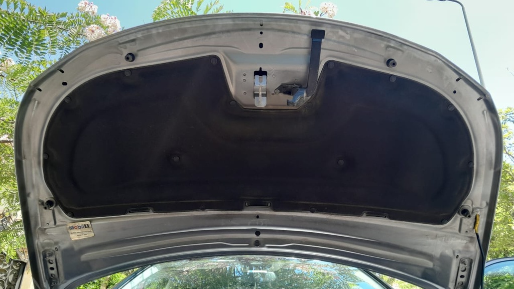 CAR HOOD