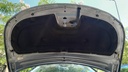 CAR HOOD
