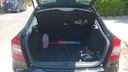 TRUNK