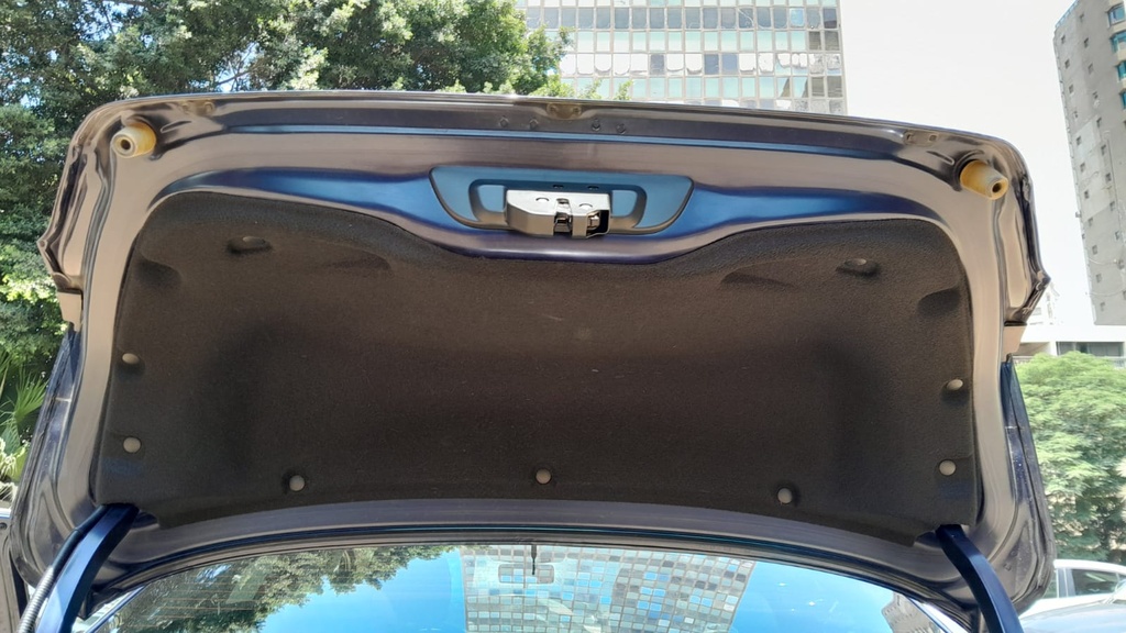 TRUNK HOOD