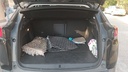 TRUNK