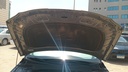 CAR HOOD