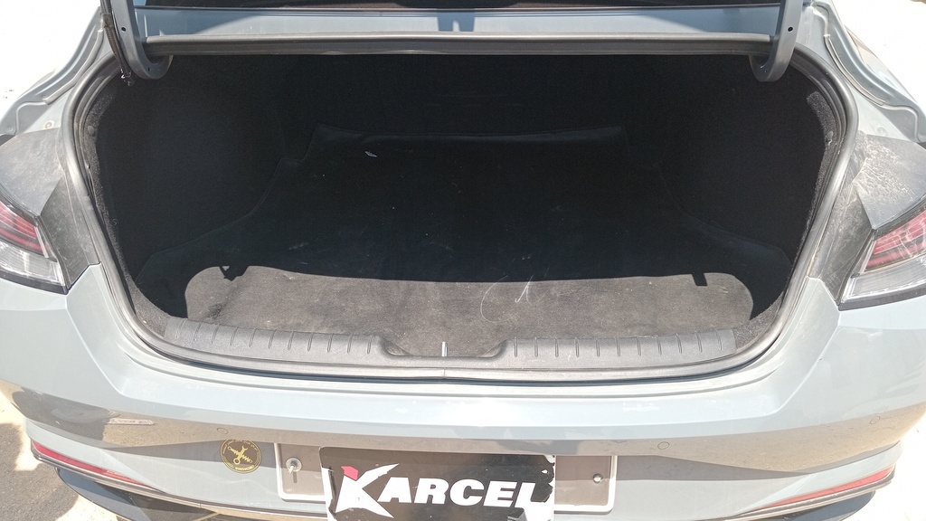 TRUNK