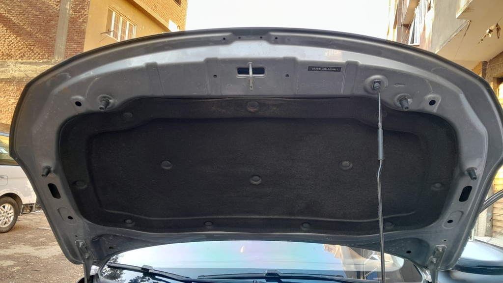 CAR HOOD