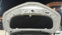 CAR HOOD