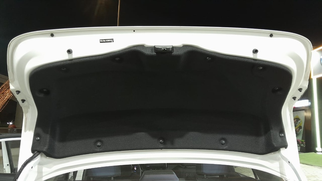 TRUNK HOOD