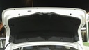 TRUNK HOOD
