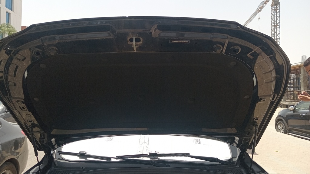 CAR HOOD