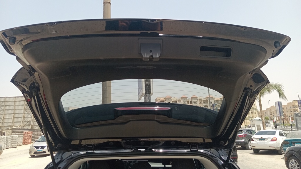TRUNK HOOD