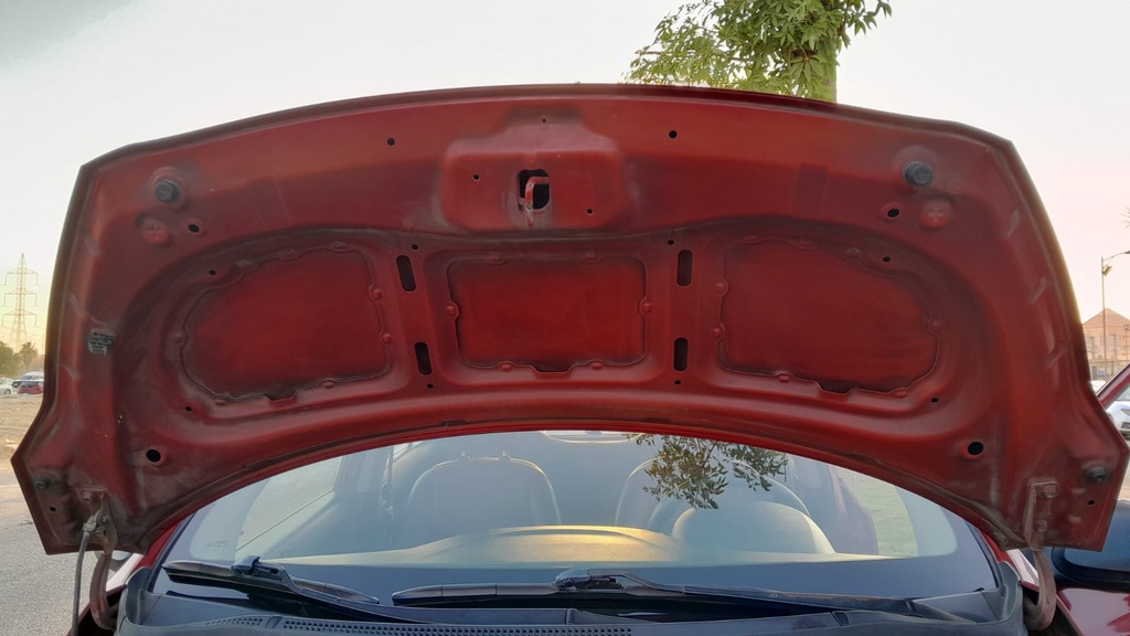 CAR HOOD