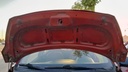 CAR HOOD