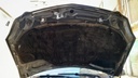 CAR HOOD