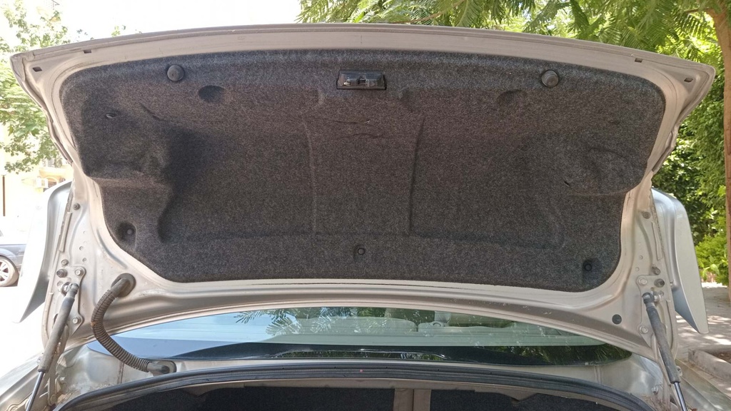 TRUNK HOOD