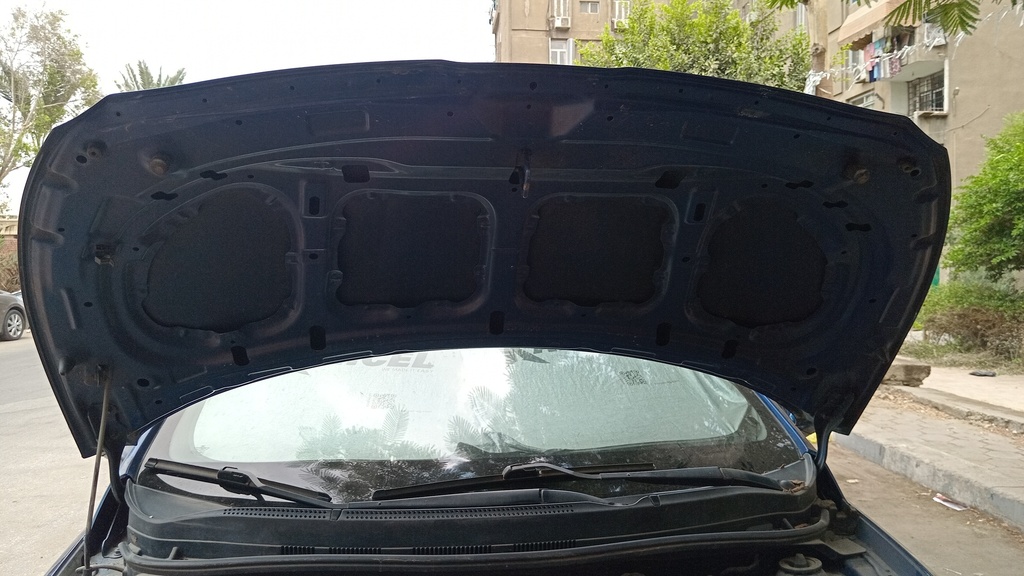 CAR HOOD