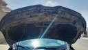 CAR HOOD