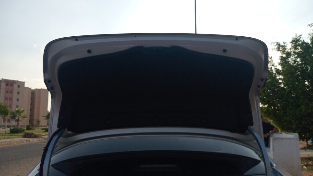 TRUNK HOOD