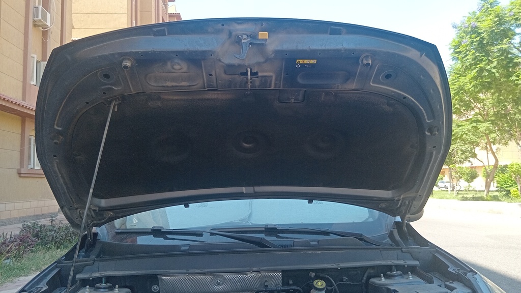 CAR HOOD