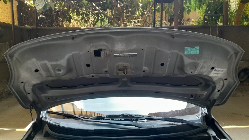 CAR HOOD
