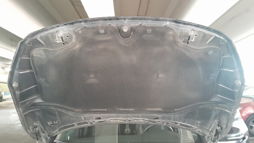 CAR HOOD