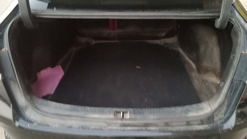 TRUNK