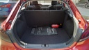 TRUNK