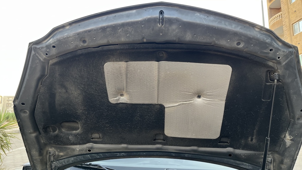 CAR HOOD