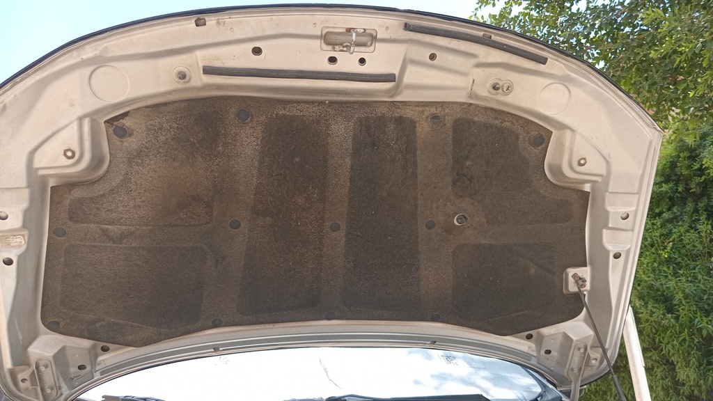 TRUNK HOOD
