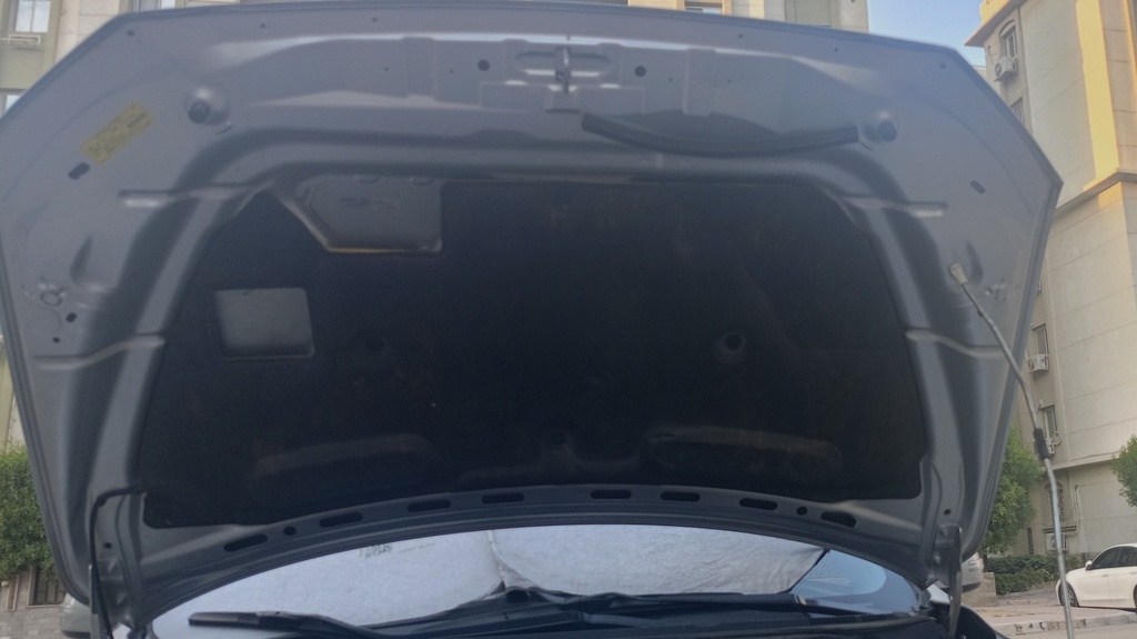 CAR HOOD