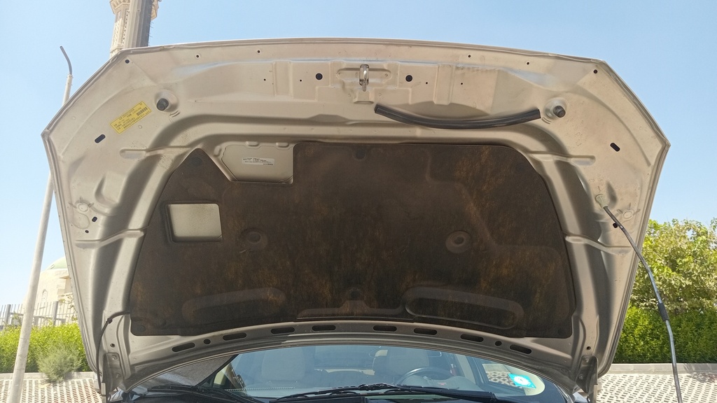 CAR HOOD