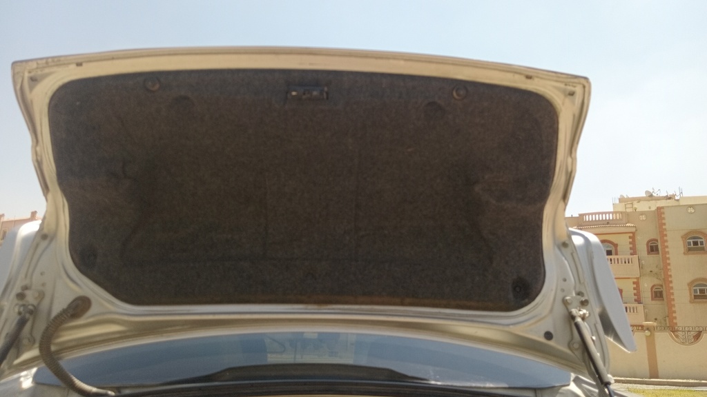 TRUNK HOOD