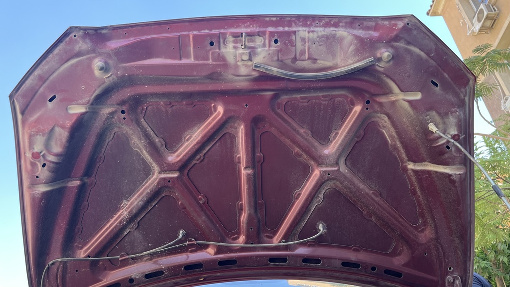 CAR HOOD