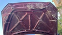 CAR HOOD