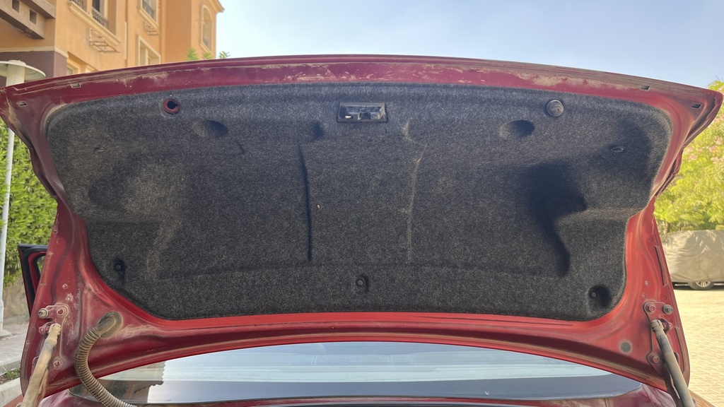 TRUNK HOOD