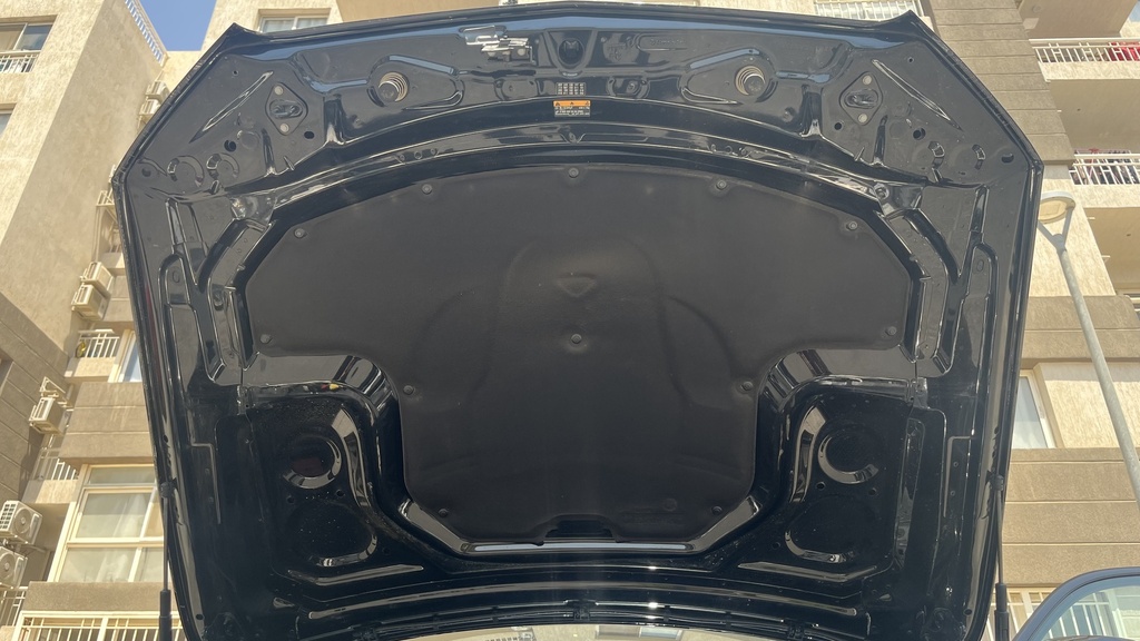 CAR HOOD