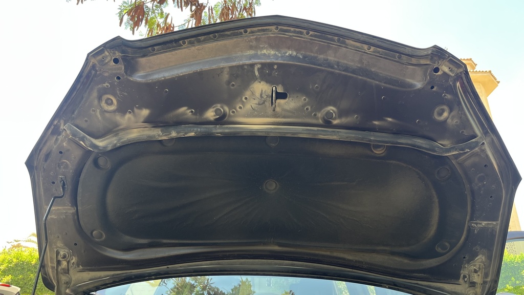 CAR HOOD