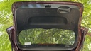 TRUNK HOOD