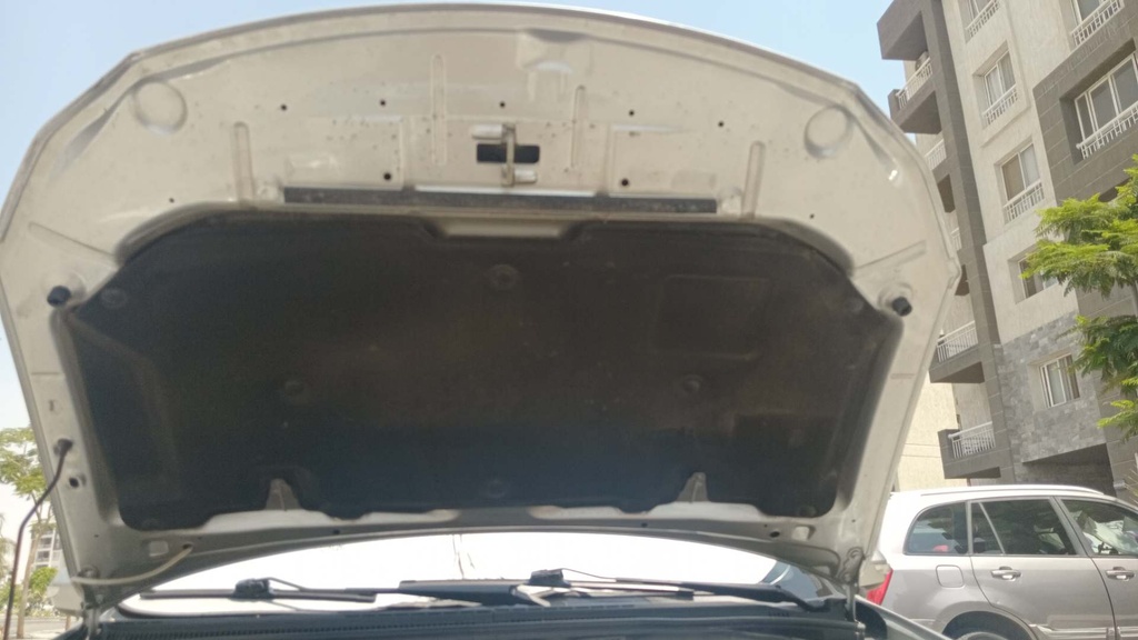 CAR HOOD