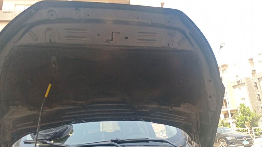 CAR HOOD