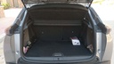 TRUNK