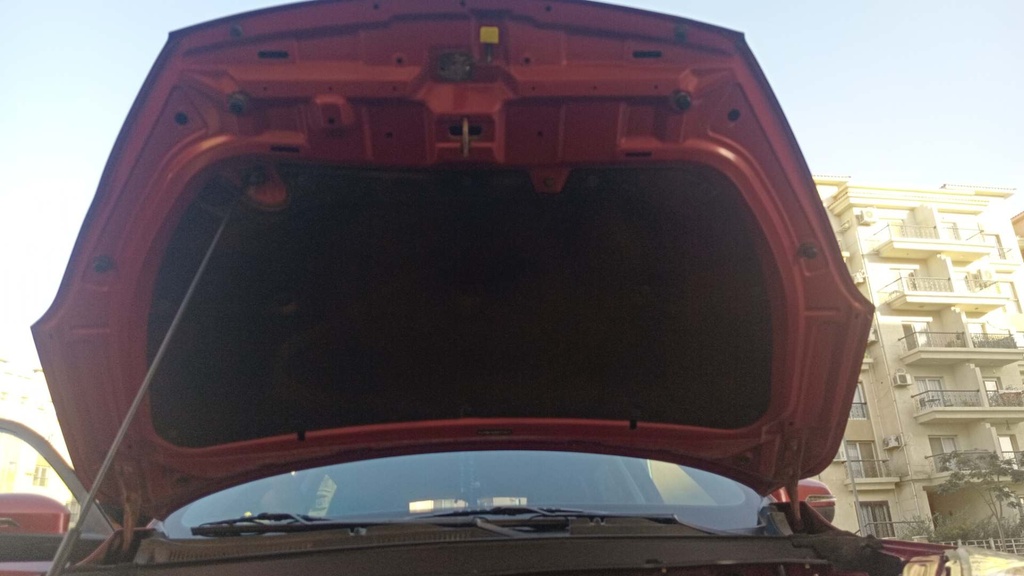 CAR HOOD